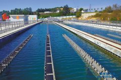 ״ՈoˮOӋY|ҪʂЩIg