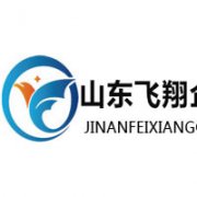 山東飛翔企業管理咨詢有限公司